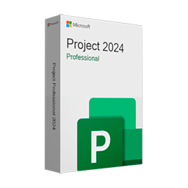 Project Professional 2024