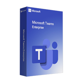 Microsoft Teams Enterprise - 1 Year